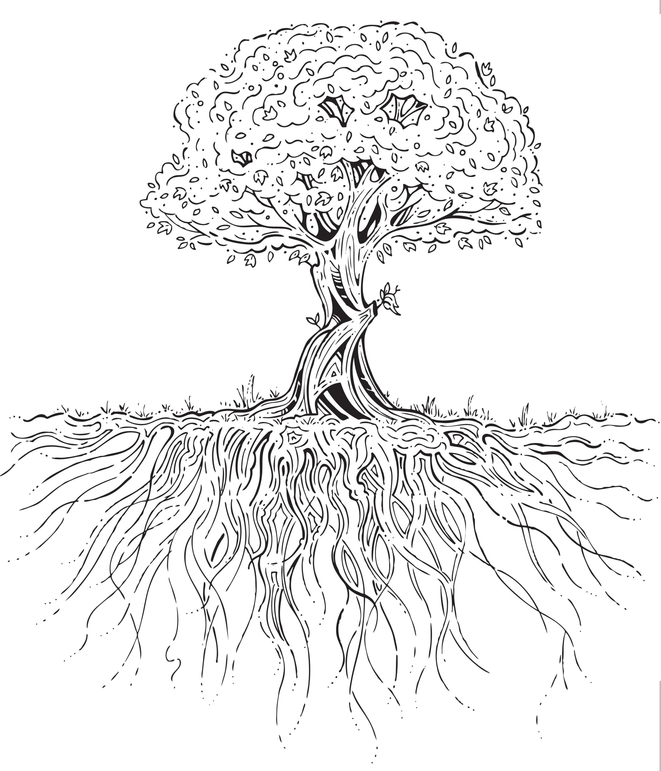 Tree With Roots Coloring Page Printable Porn Sex Picture