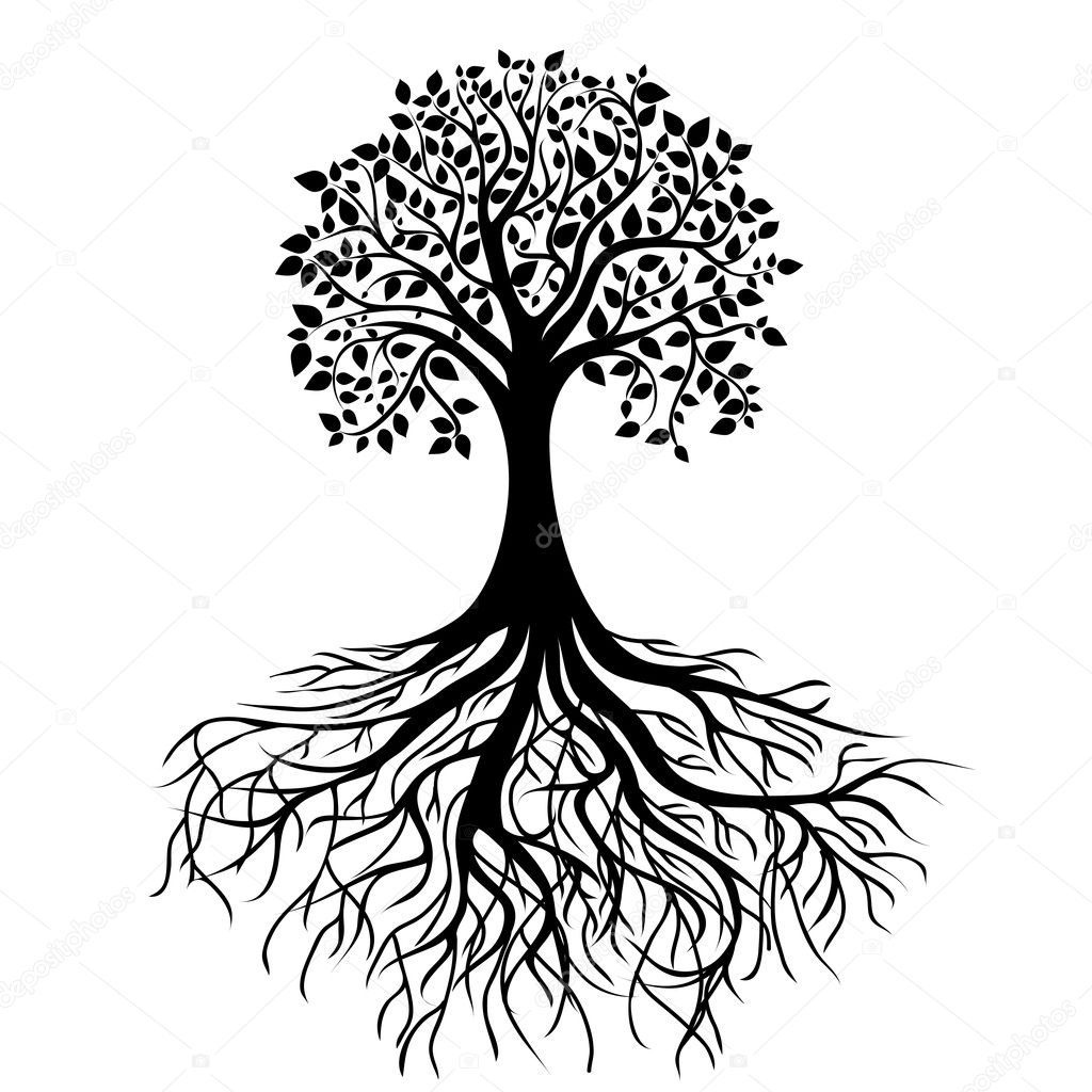Tree With Roots Stock Vector By NikitinaOlga 12069030