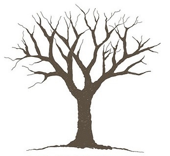 Tree Without Leaves Template ClipArt Best