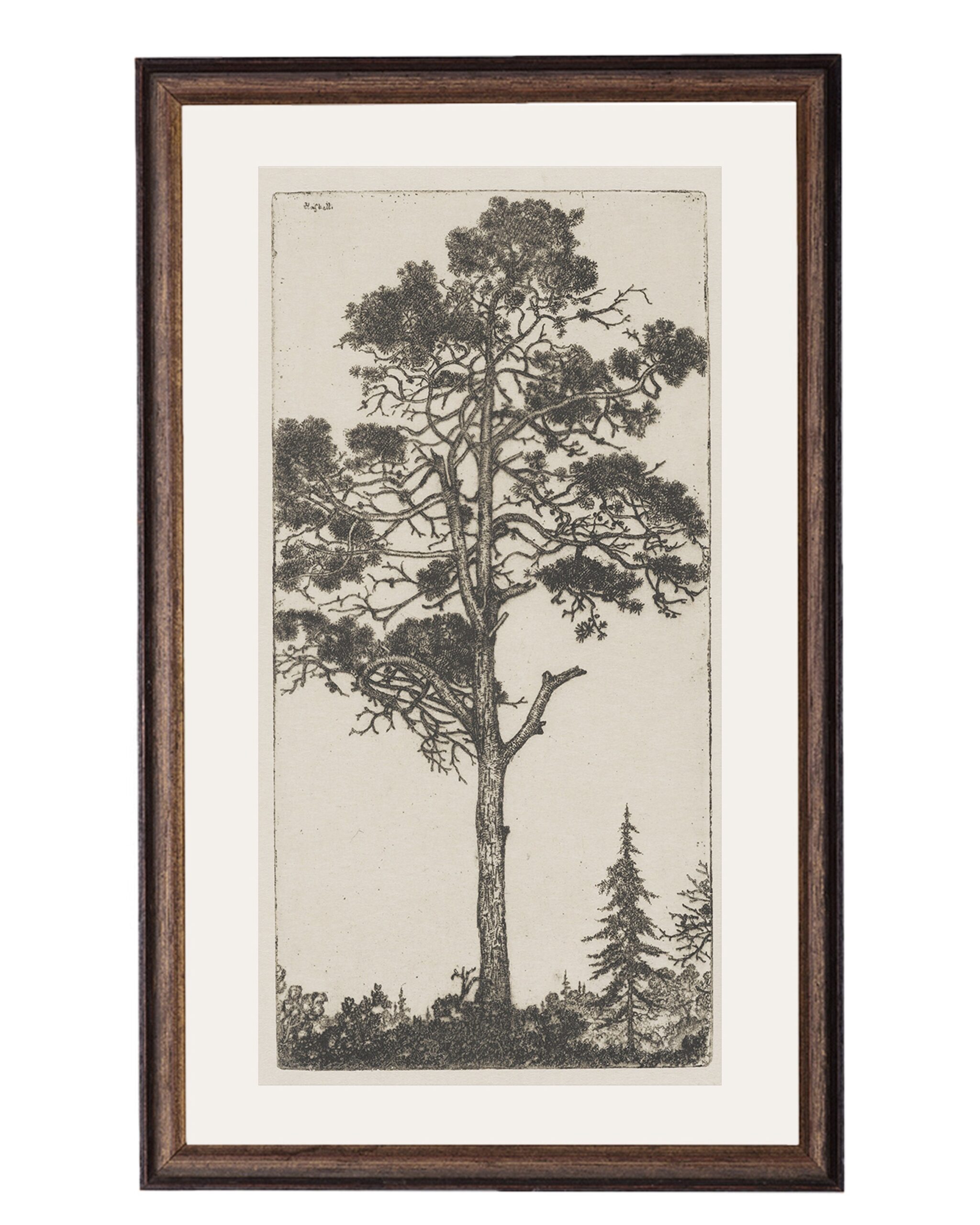Trees Etching 1 Etching Tree Print Trees Wall Art Printed Etsy