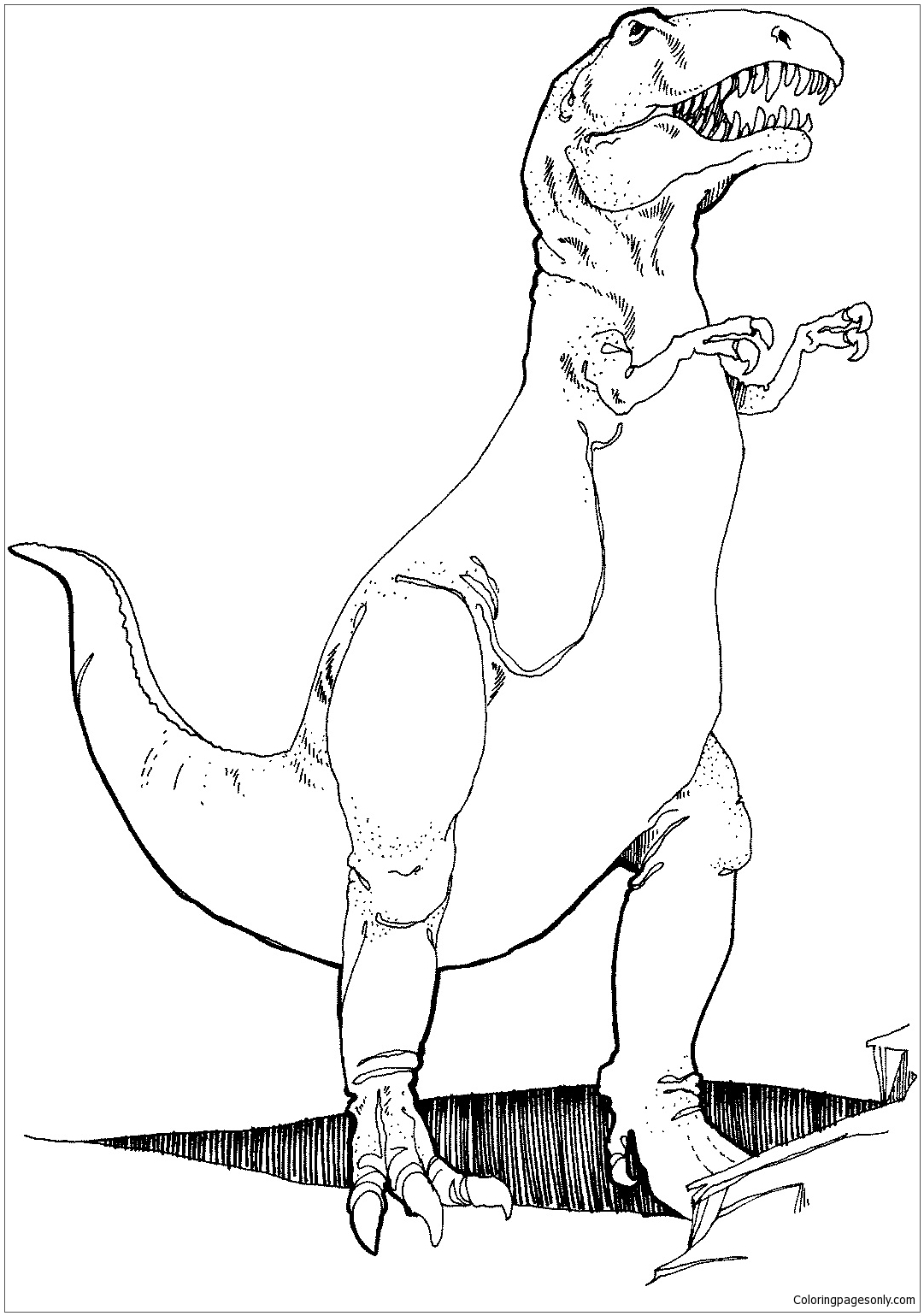 Tyrannosaurus T Rex Coloring Page Free Printable Coloring Pages