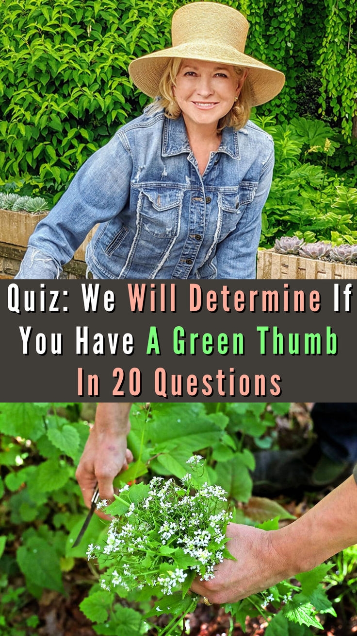 Ultimate Gardening Quiz In 2024 Green Thumb Quiz Green
