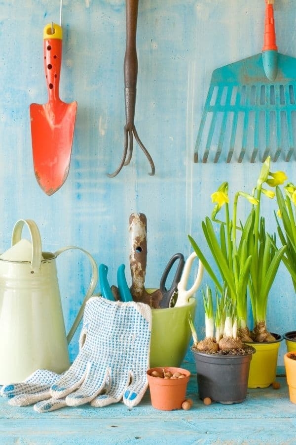 Ultimate Gardening Quiz Questions And Answers 2025 Quiz