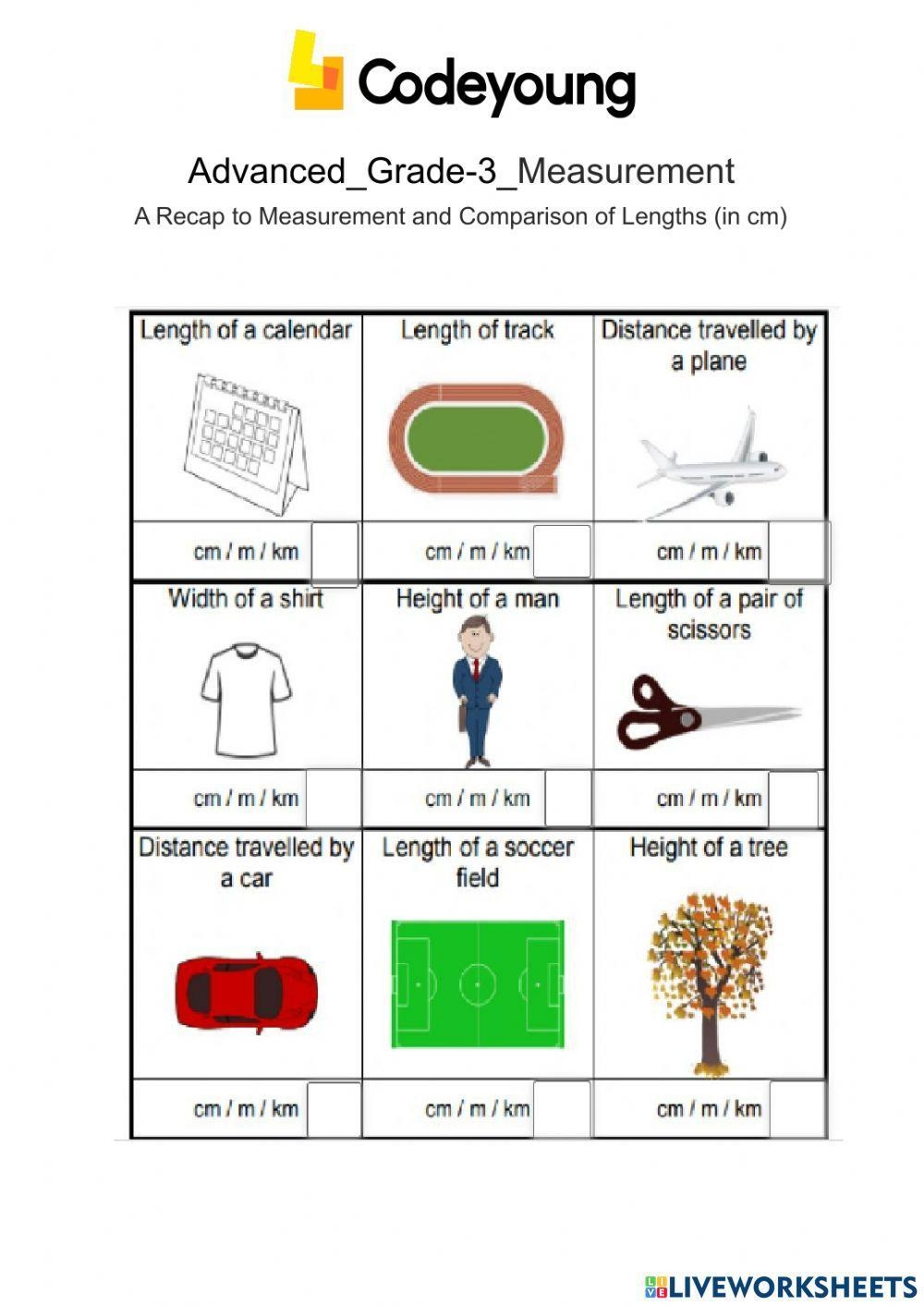 tree measurement worksheet