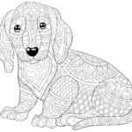 Unleash Your Creativity Free Printable Dog Coloring Pages For Kids