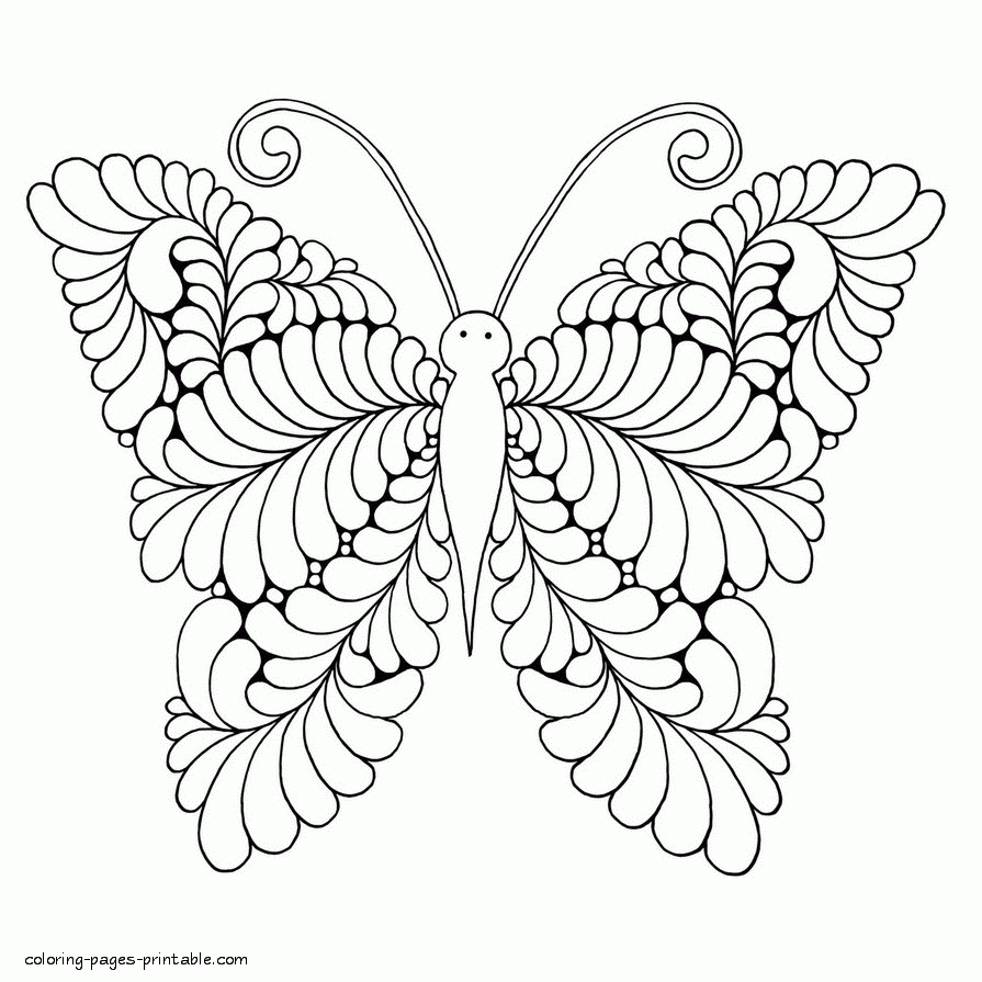 Unusual Butterfly Adult Coloring Pages COLORING PAGES PRINTABLE COM