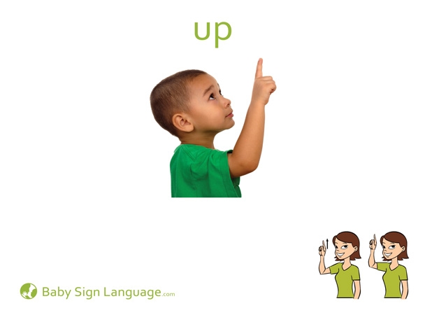 Up Flash Card