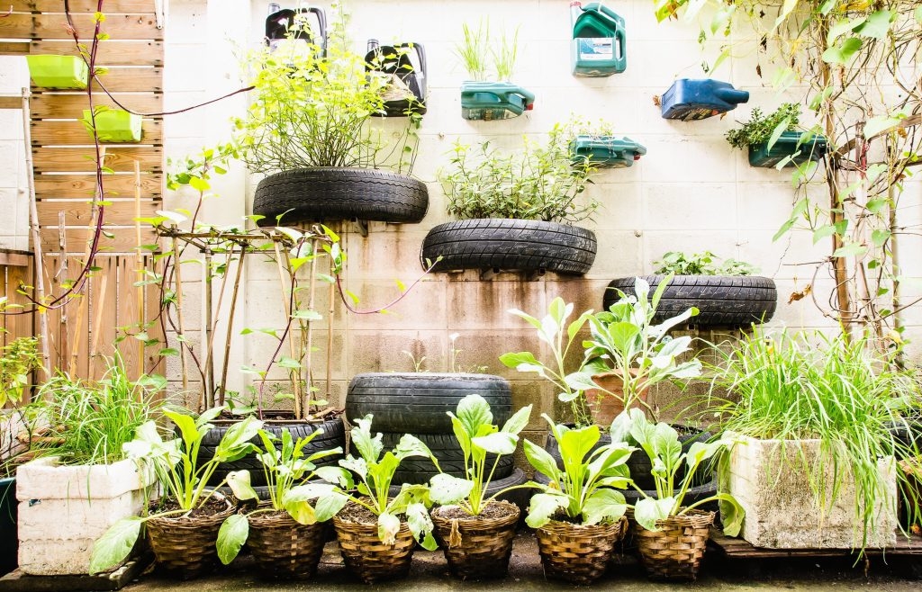 gardening examples