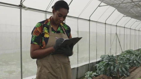 Vegetable Gardening Stock Footage Royalty Free Stock Videos Pond5