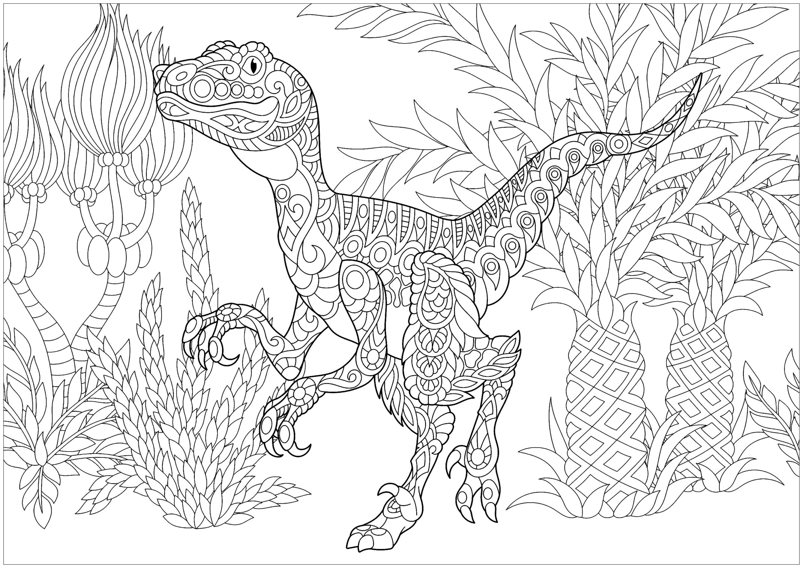 Velociraptor Dinosaurs Adult Coloring Pages Motherhood