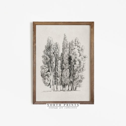 tree etching print