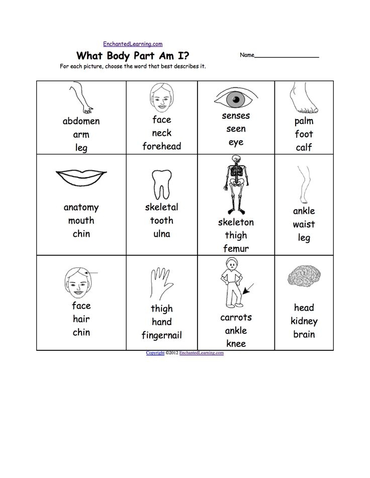 preschool worksheet printouts
