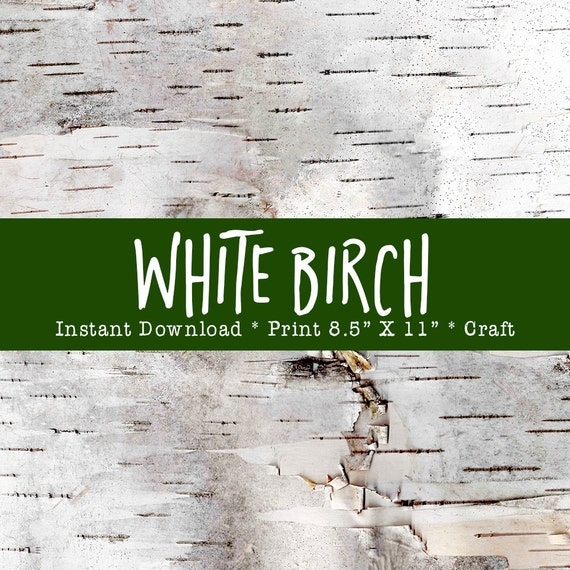White Birch Tree Bark Printable For Holiday Crafts DIY Instant