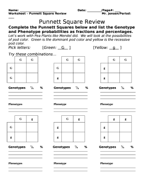 Worksheet Punnett Square ReviewMr Doc Template PdfFiller Worksheets 