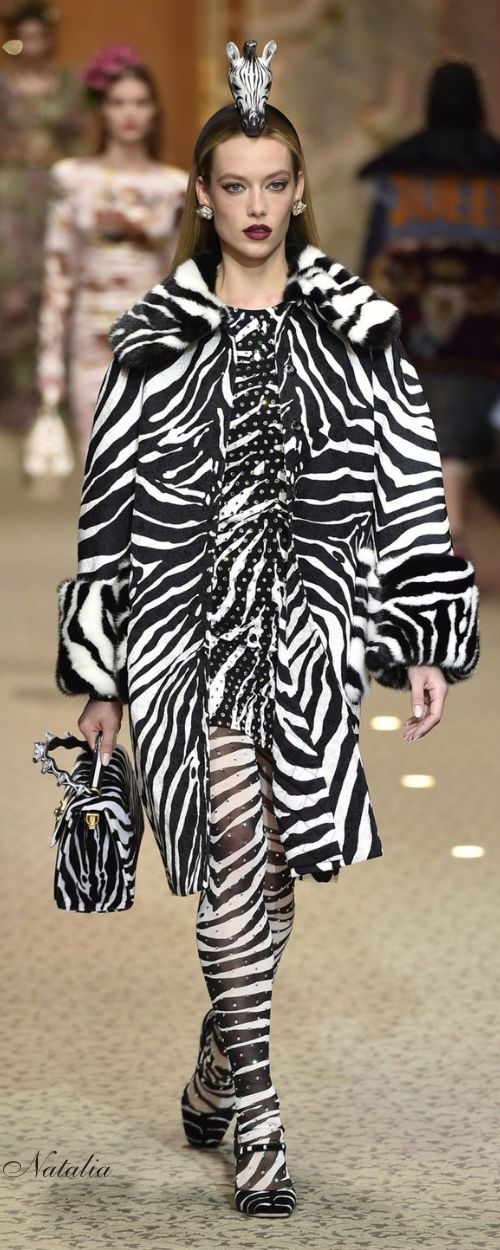 Zebra Print Fashion Em 2024
