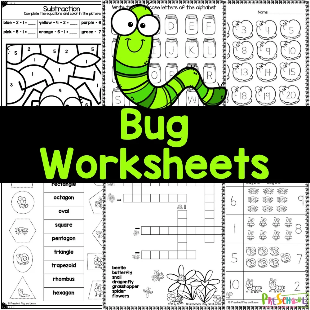 bug preschool worksheets